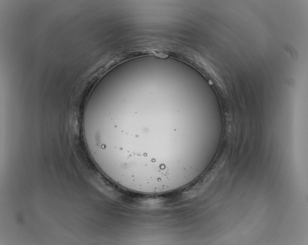 X0000112480313200908171225