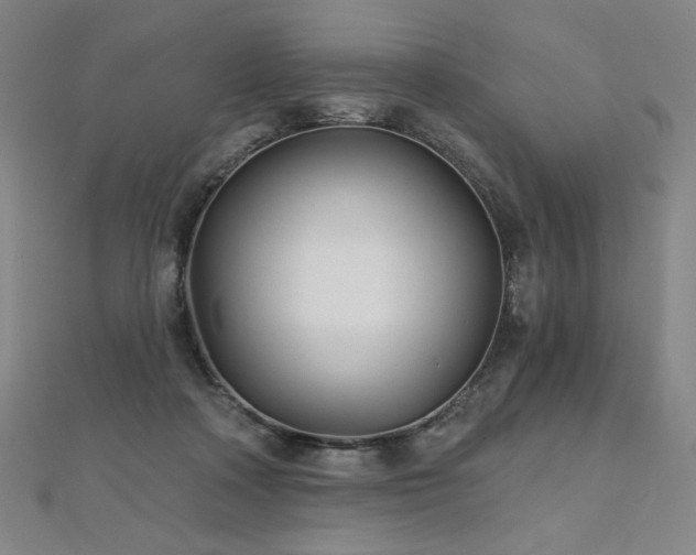 X0000112480314200908171225