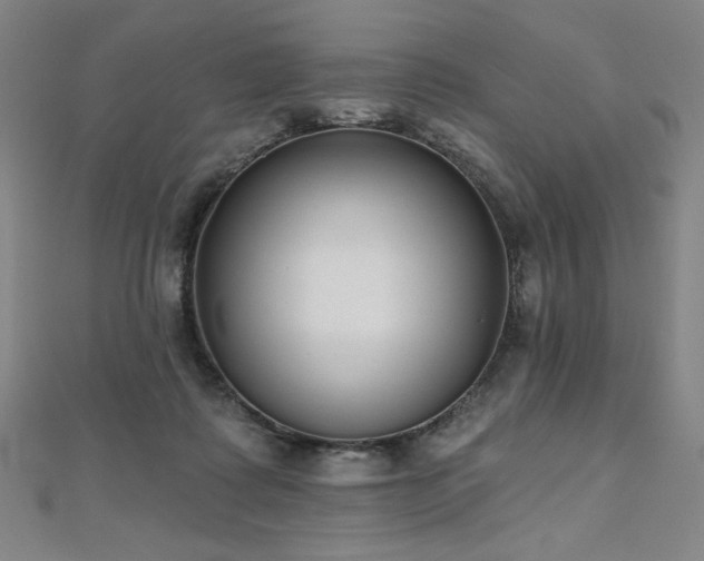 X0000112480315200908171225