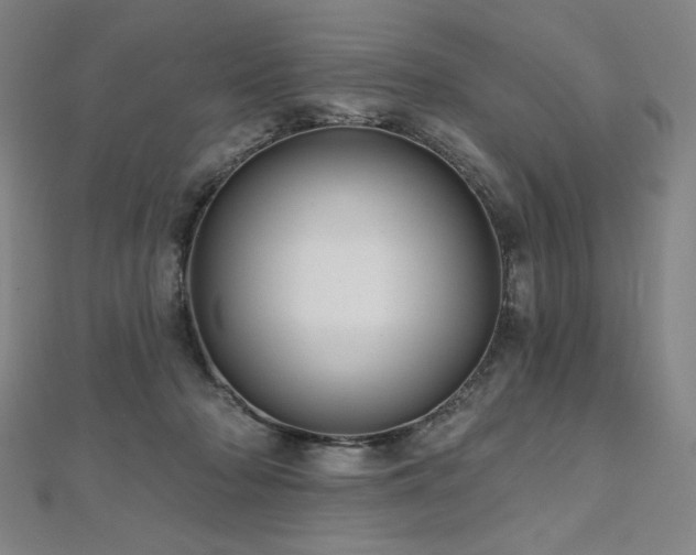 X0000112480318200908171225