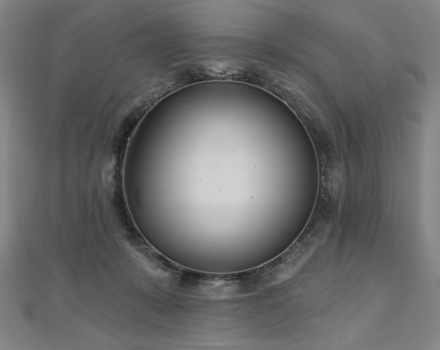 X0000112480319200908171225