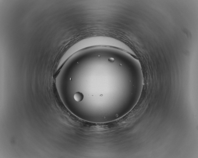 X0000112480320200908171225
