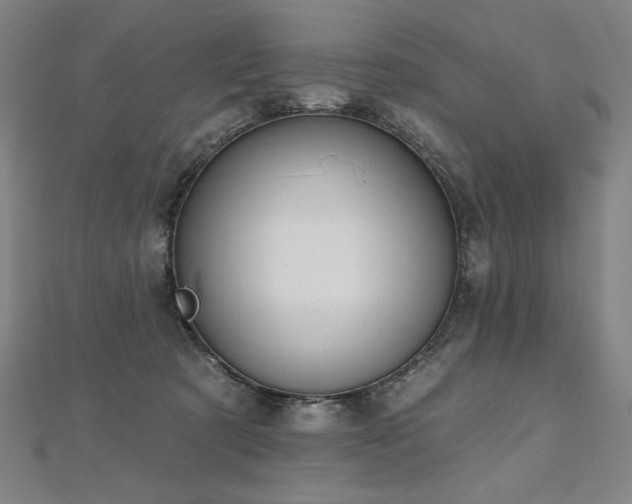X0000112480321200908171225
