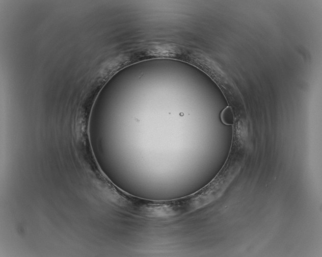 X0000112480322200908171225