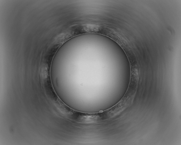 X0000112480323200908171225