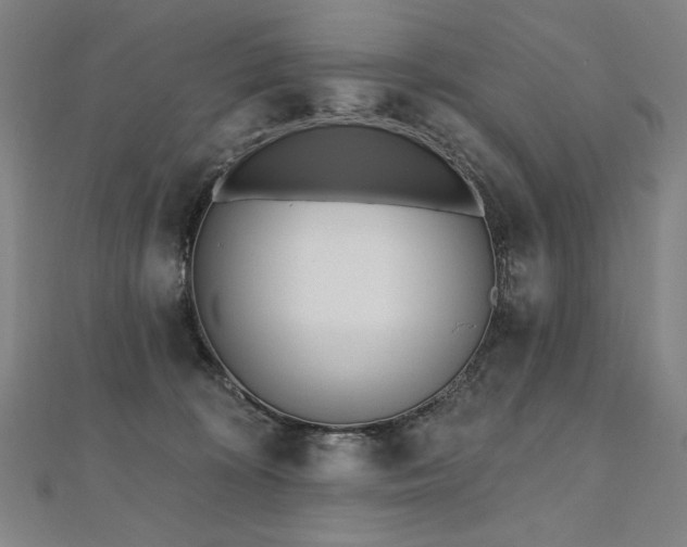 X0000112480324200908171225