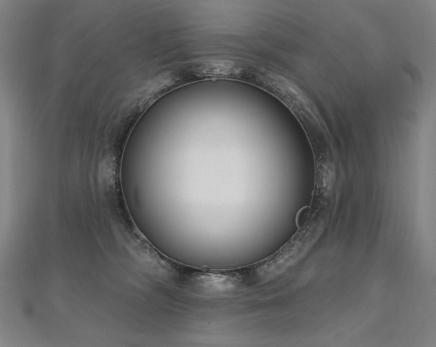 X0000112480326200908171225