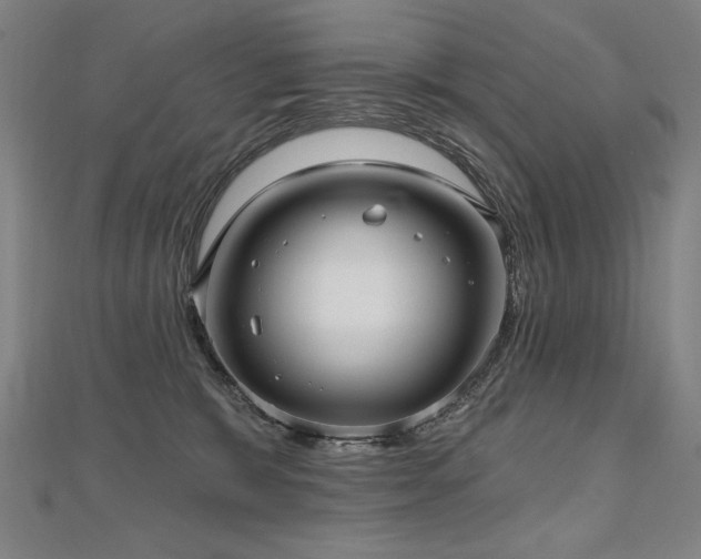X0000112480327200908171225