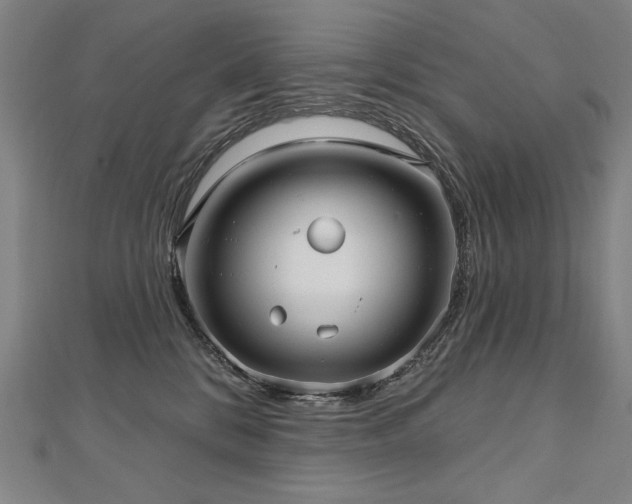 X0000112480328200908171225