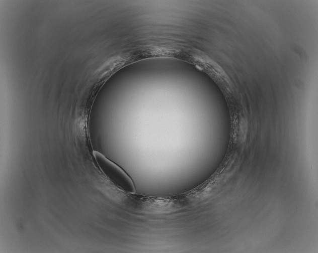 X0000112480329200908171225