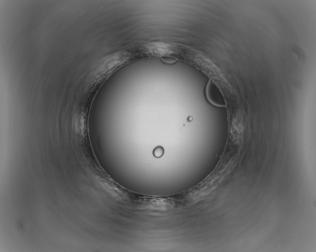 X0000112480330200908171225