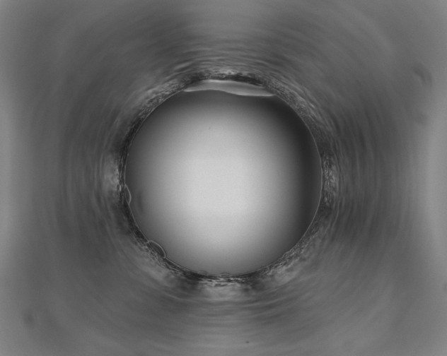 X0000112480331200908171225