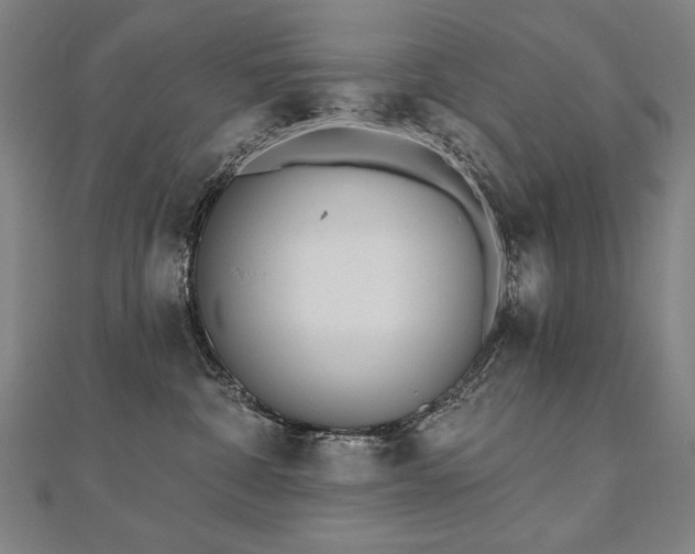 X0000112480332200908171225