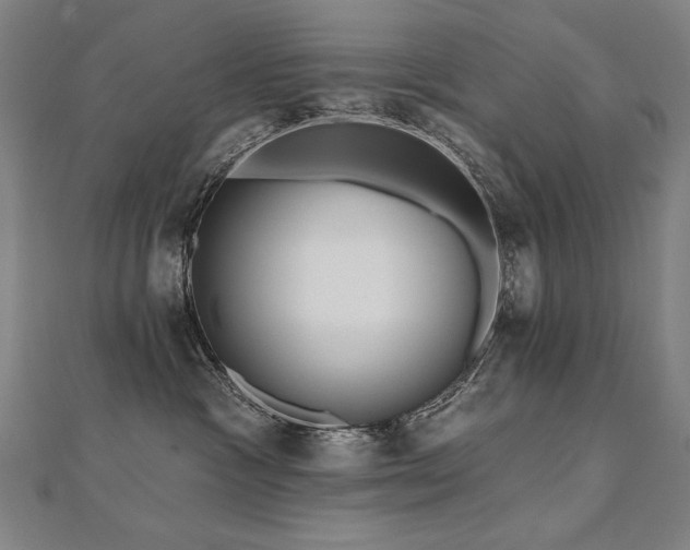 X0000112480333200908171225
