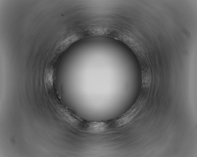 X0000112480334200908171225