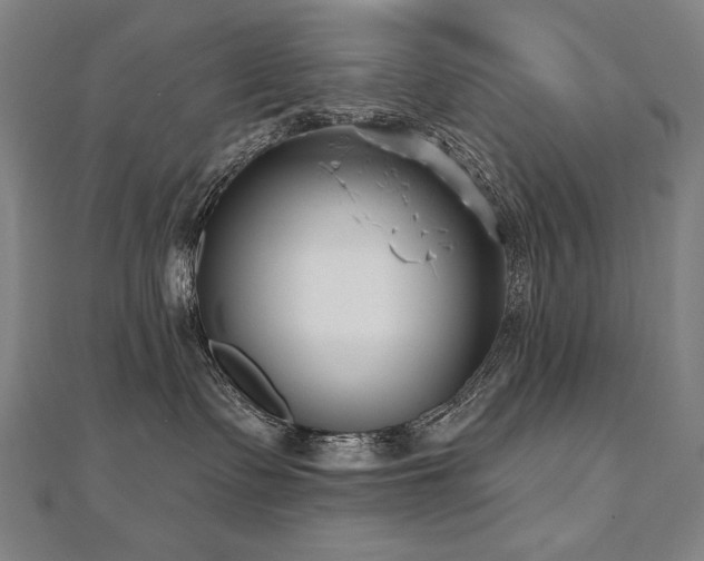 X0000112480335200908171225