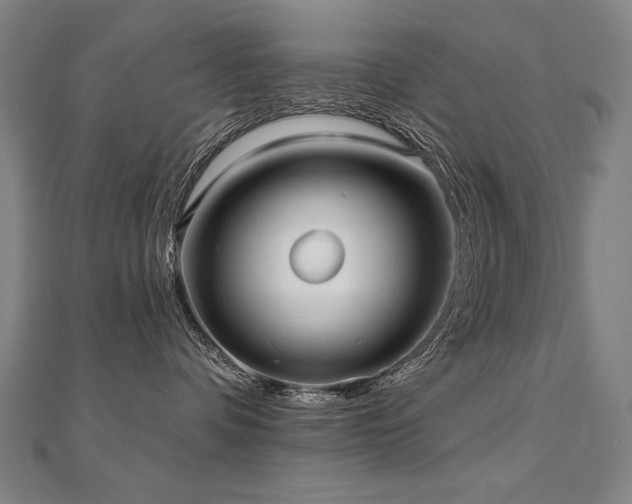 X0000112480336200908171225