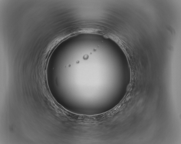 X0000112480337200908171224