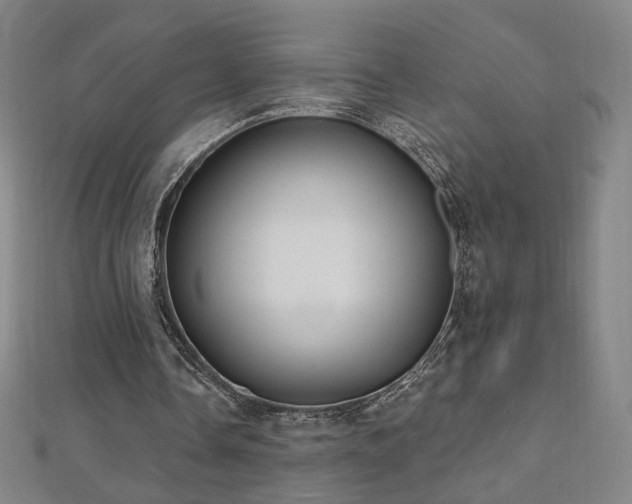 X0000112480338200908171224