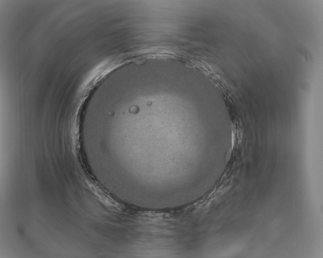 X0000112480339200908171224