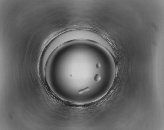 X0000112480340200908171224