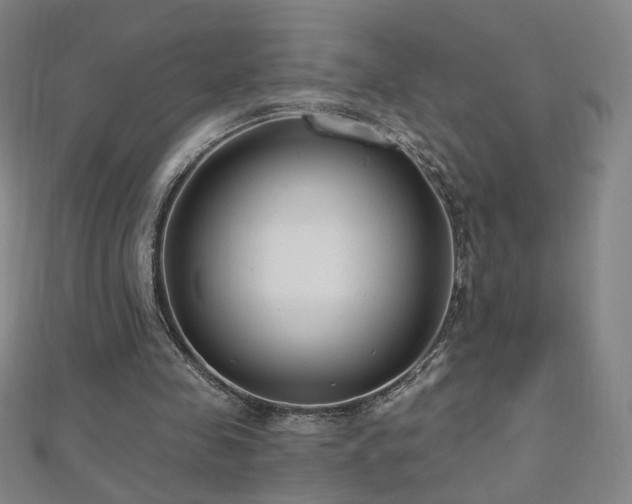 X0000112480341200908171224