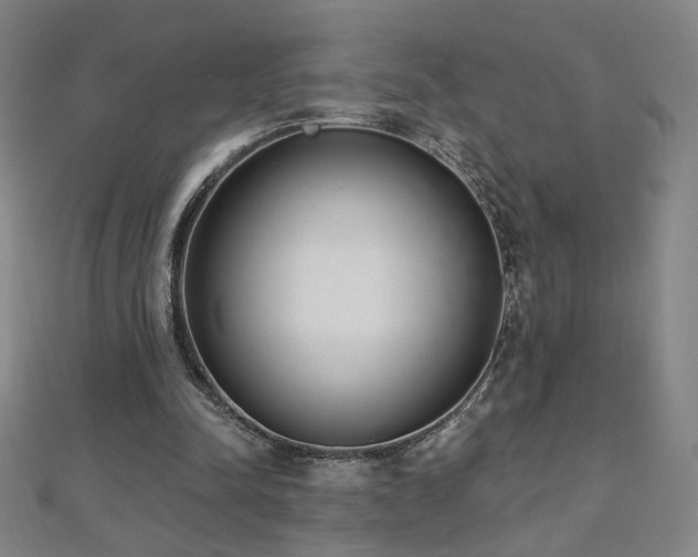 X0000112480342200908171224