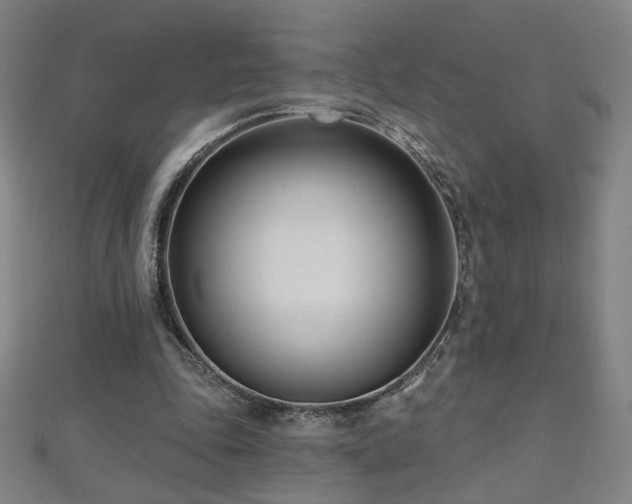 X0000112480343200908171224