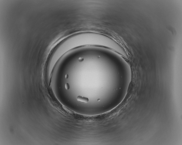 X0000112480344200908171224