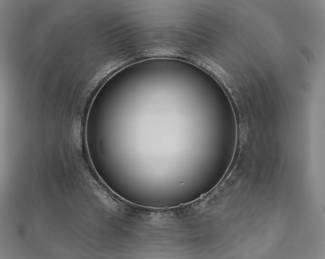 X0000112480345200908171224