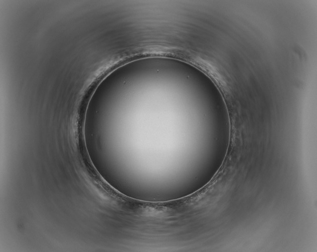 X0000112480346200908171224