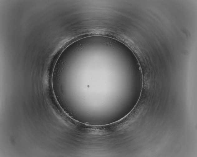 X0000112480347200908171224