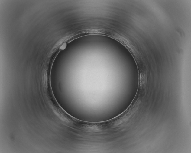X0000112480349200908171224