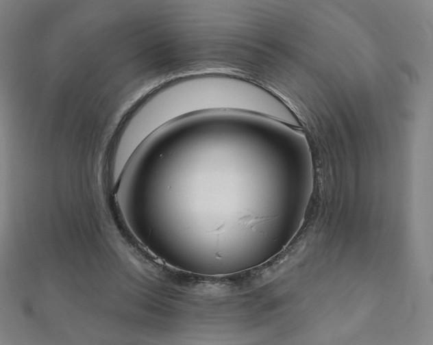 X0000112480350200908171224