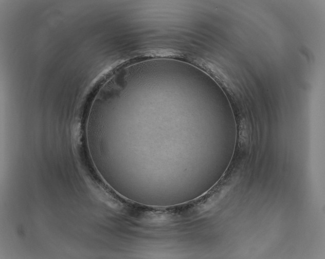 X0000112480351200908171224