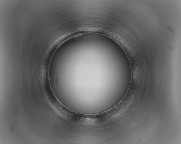 X0000112480352200908171224