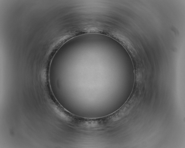 X0000112480353200908171224