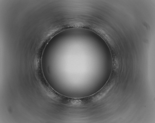 X0000112480355200908171224