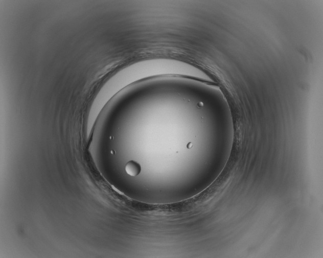 X0000112480356200908171224