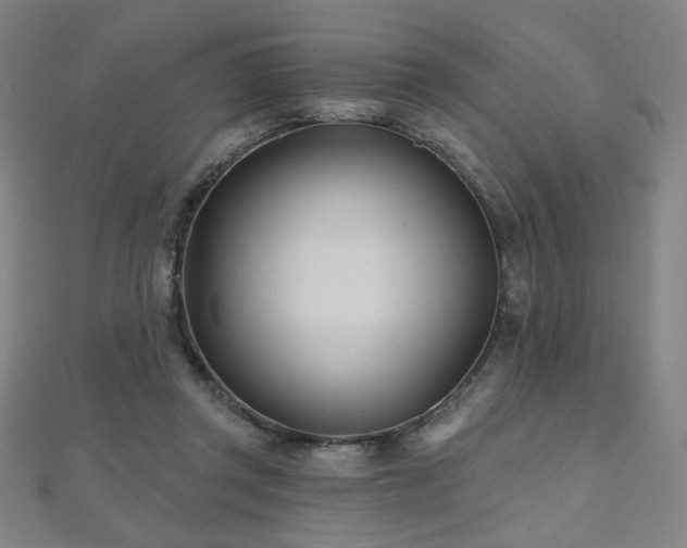 X0000112480357200908171224