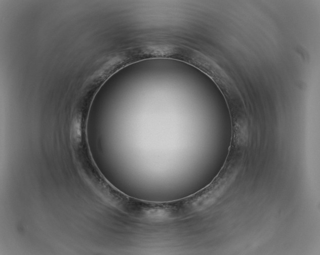 X0000112480358200908171224