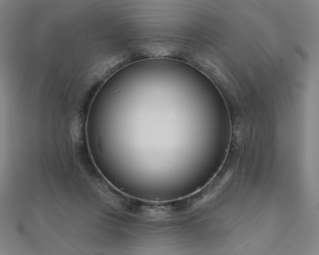 X0000112480359200908171224