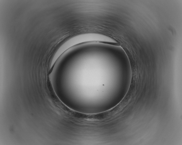 X0000112480360200908171224