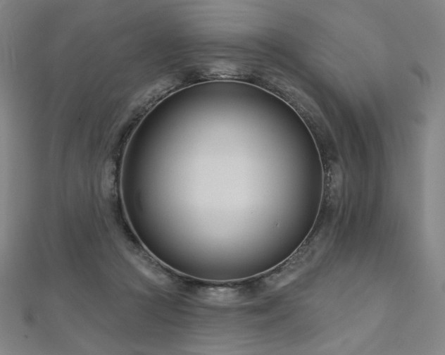 X0000112480361200908171224