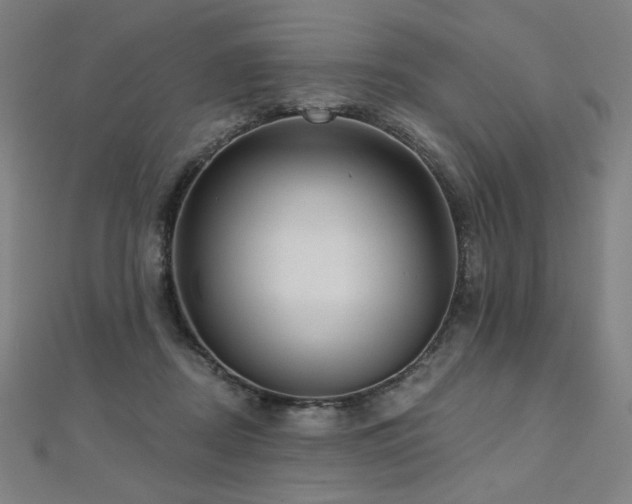X0000112480362200908171224