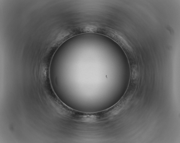 X0000112480363200908171224