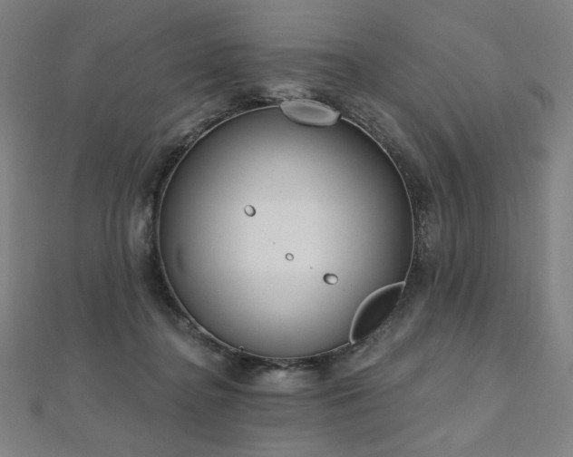 X0000112480364200908171224