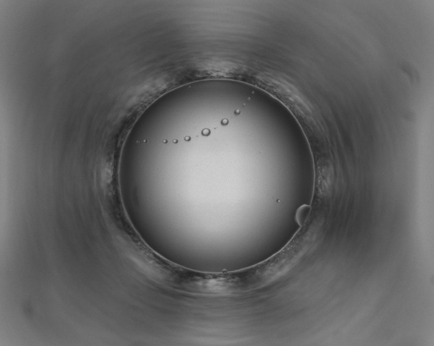 X0000112480365200908171224