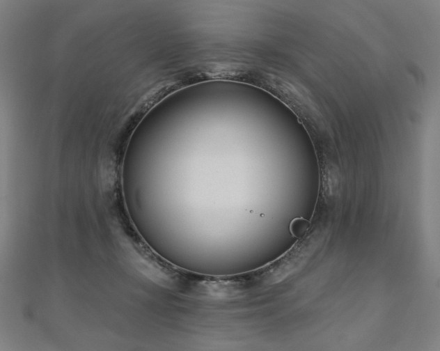 X0000112480367200908171224