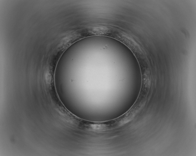 X0000112480371200908171224